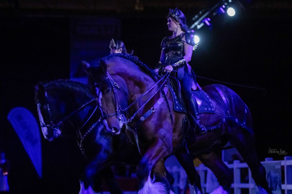 Hund und Pferd 2024 Gladiator Horses